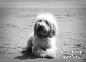 Personalised Cockapoo Black and White Art Greeting Card (Birthday, Christmas, Any Occasion)