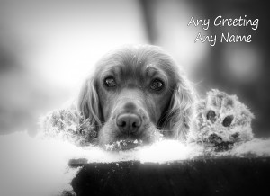Personalised Cocker Spaniel Black and White Greeting Card (Birthday, Christmas, Any Occasion)