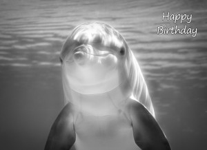 Dolphin Black and White Art Birthday Card