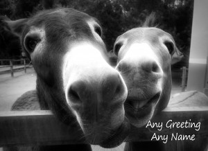 Personalised Donkey Black and White Art Greeting Card (Birthday, Christmas, Any Occasion)
