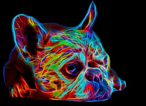 French Bulldog Neon Art Blank Greeting Card