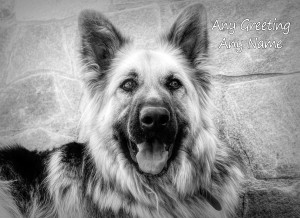 Personalised German Shepherd Black and White Art Greeting Card (Birthday, Christmas, Any Occasion)