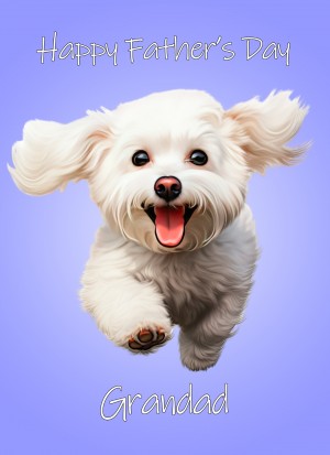 Bichon Frise Dog Fathers Day Card For Grandad
