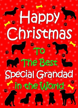 From The Dog  Christmas Card (Special Grandad, Red)