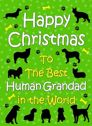 From The Dog  Christmas Card (Human Grandad, Green)