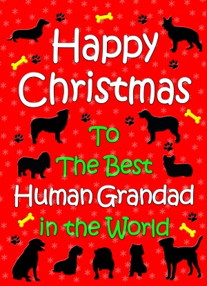 From The Dog  Christmas Card (Human Grandad, Red)