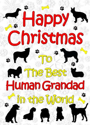 From The Dog  Christmas Card (Human Grandad, White)