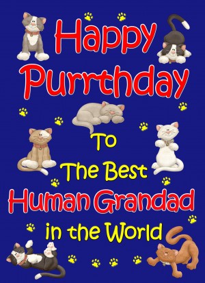 From The Cat Birthday Card (Blue, Human Grandad, Happy Purrthday)