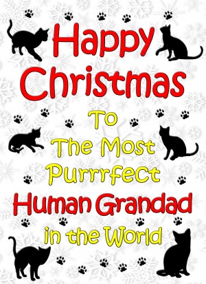 From The Cat Christmas Card (Human Grandad, White)
