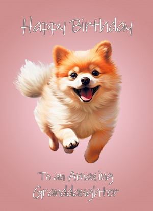 Pomeranian Dog Birthday Card For Granddaughter
