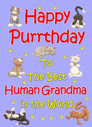 From The Cat Birthday Card (Lilac, Human Grandma, Happy Purrthday)