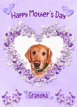 Golden Labrador Dog Mothers Day Card (Happy Mothers, Grandma)