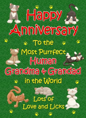 From The Cat Anniversary Card (Purrfect Grandma and Grandad)
