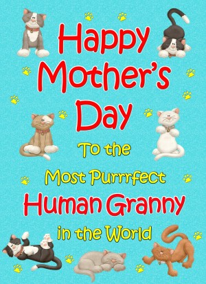 From The Cat Mothers Day Card (Turquoise, Purrrfect Human Granny)