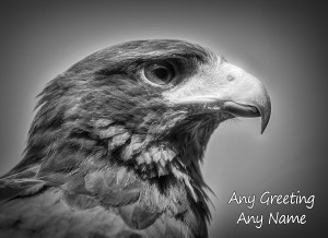 Personalised Harris Hawk Black and White Art Greeting Card (Birthday, Christmas, Any Occasion)