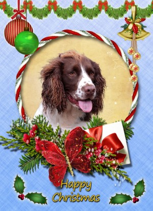 Springer Spaniel Christmas Card