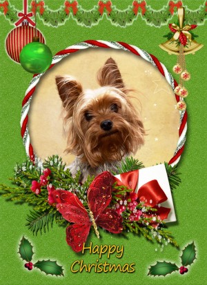 Yorkshire Terrier christmas card