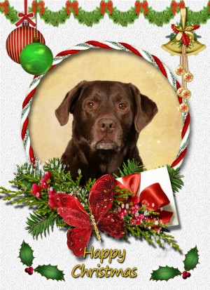 Chocolate Labrador christmas card
