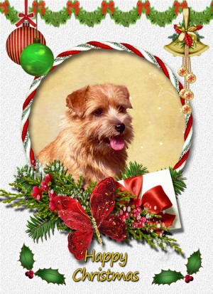 Norfolk Terrier christmas card