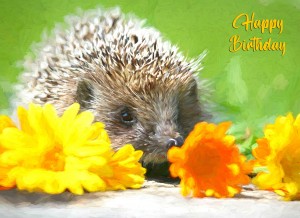 Hedgehog Art Birthday Card