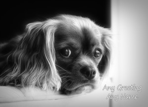 Personalised King Charles Spaniel Black and White Art Greeting Card (Birthday, Christmas, Any Occasion)