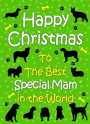 From The Dog  Christmas Card (Special Mam, Green)
