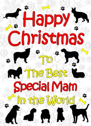 From The Dog  Christmas Card (Special Mam, White)
