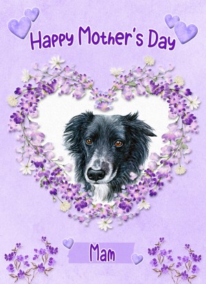 Border Collie Dog Mothers Day Card (Happy Mothers, Mam)