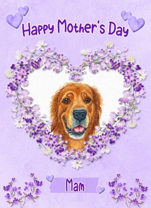 Golden Retriever Dog Mothers Day Card (Happy Mothers, Mam)