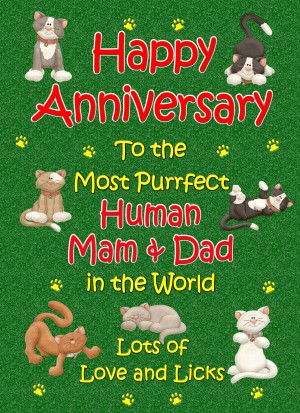 From The Cat Anniversary Card (Purrfect Mam and Dad)