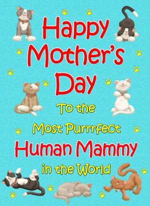 From The Cat Mothers Day Card (Turquoise, Purrrfect Human Mammy)