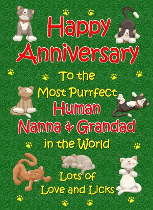 From The Cat Anniversary Card (Purrfect Nanna and Grandad)