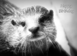 Otter Black and White Art Birthday Card