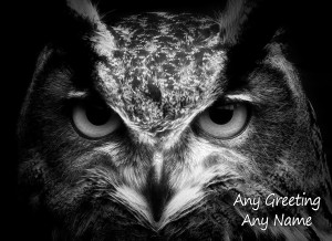 Personalised Owl Black and White Art Greeting Card (Birthday, Christmas, Any Occasion)