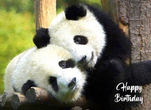 Panda Art Birthday Card