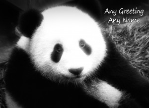Personalised Panda Black and White Art Greeting Card (Birthday, Christmas, Any Occasion)