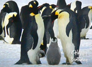 Penguin Art Birthday Card