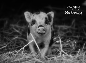 Pig Black and White Art Birthday Card