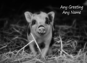 Personalised Pig Black and White Art Greeting Card (Birthday, Christmas, Any Occasion)