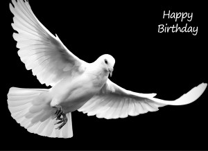 Pigeon Black and White Art Birthday Card