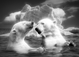 Polar Bear Black and White Art Blank Greeting Card