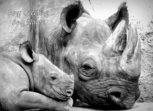 Personalised Rhino Black and White Greeting Card (Birthday, Christmas, Any Occasion)