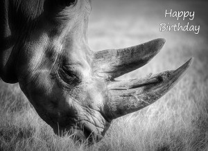 Rhino Black and White Art Birthday Card