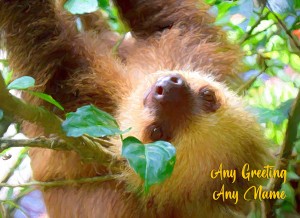 Personalised Sloth Art Greeting Card (Birthday, Christmas, Any Occasion)