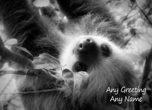 Personalised Sloth Black and White Art Greeting Card (Birthday, Christmas, Any Occasion)