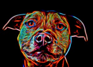 Staffordshire Bull Terrier Neon Art Blank Greeting Card