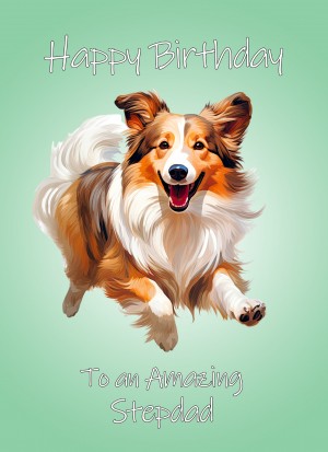 Shetland Sheepdog Dog Birthday Card For Stepdad