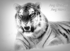 Personalised Tiger Black and White Greeting Card (Birthday, Christmas, Any Occasion)