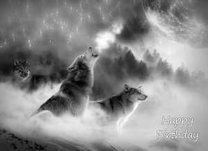 Wolf Black and White Birthday Card