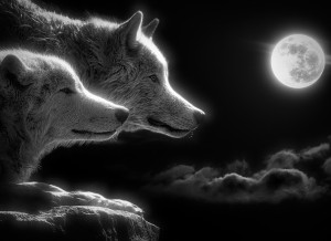 Wolf Black and White Art Blank Greeting Card